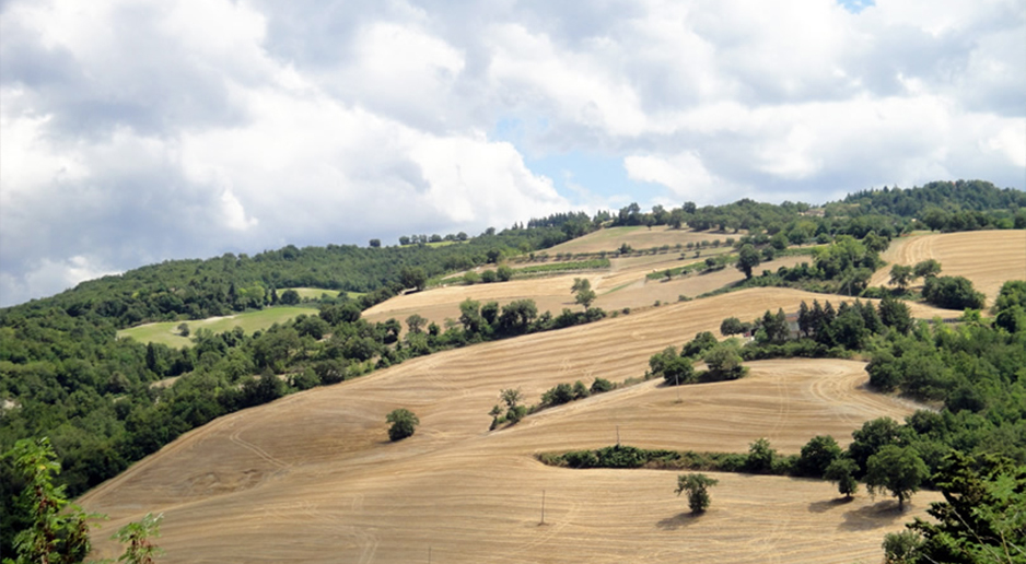 Hotel restaurant ‘La Meridiana’ – Urbino (PU), Italy